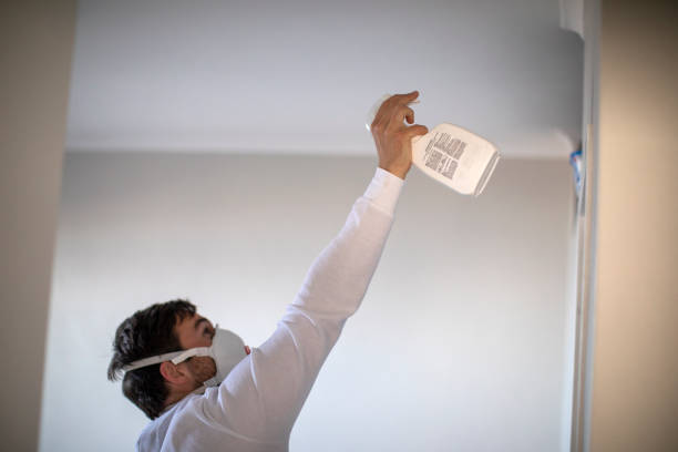 Best Residential Mold Removal  in Farley, IA