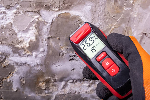 Best Attic Mold Removal  in Farley, IA